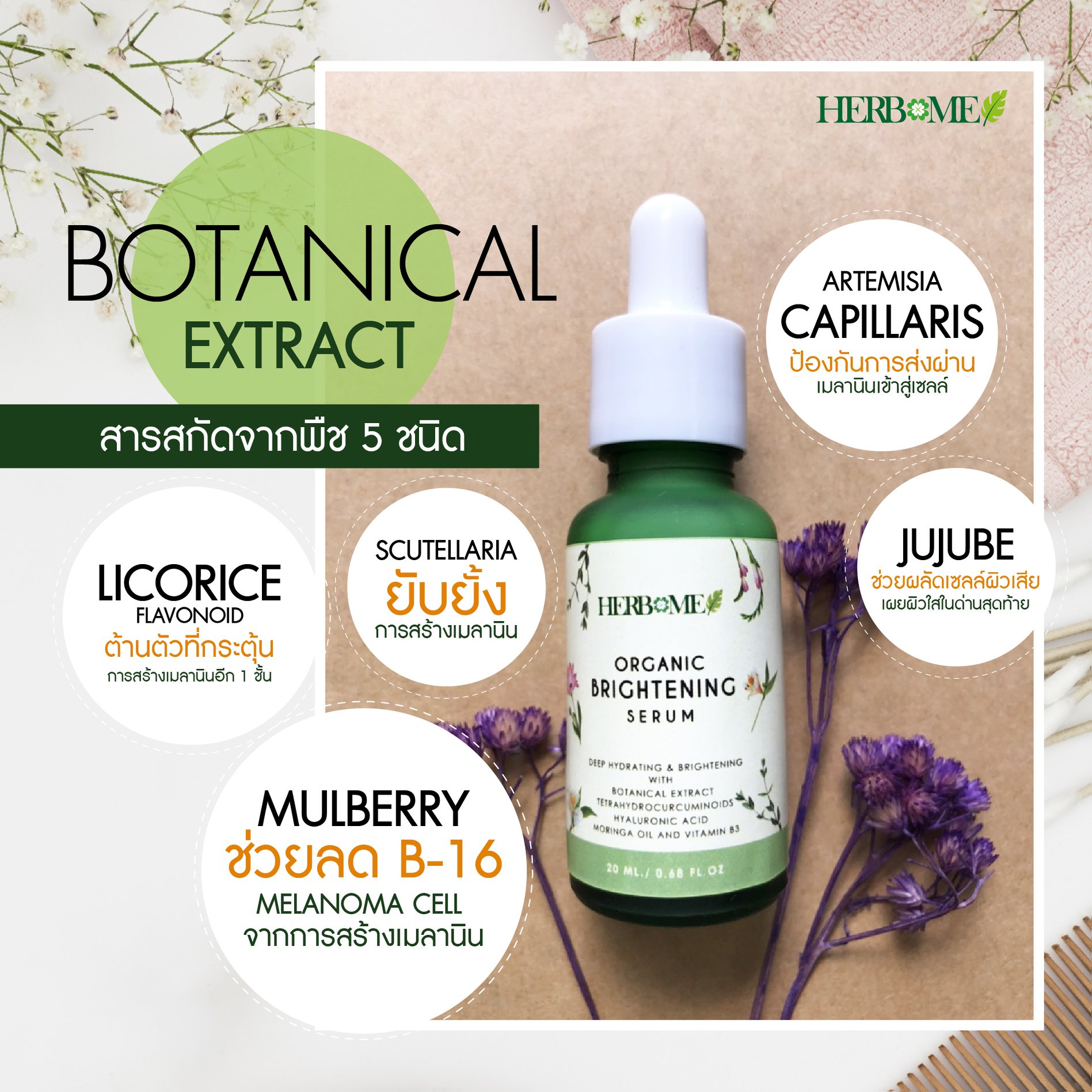 Botanical Extract 